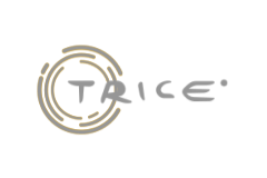 Trice