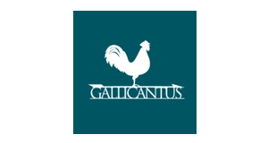 gallicanus